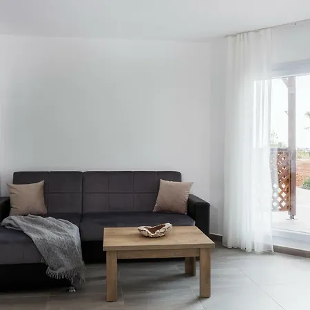 Olive Smart With Sea View Apartment Vokolidha