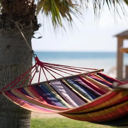 Olive Smart With Sea View Vokolidha