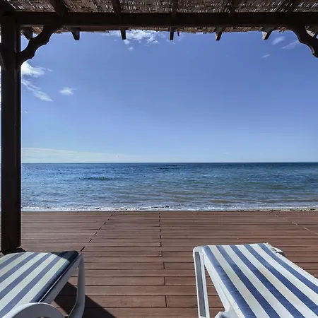 Olive Smart With Sea View شقة